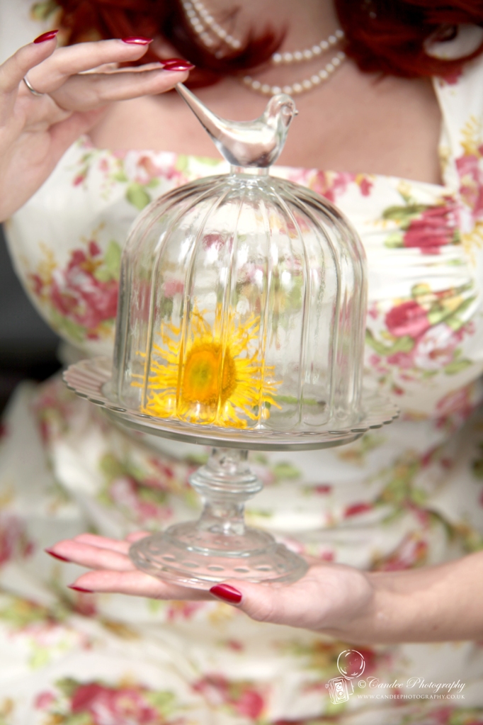 Glass Bird Bell Jar and Cake Stand